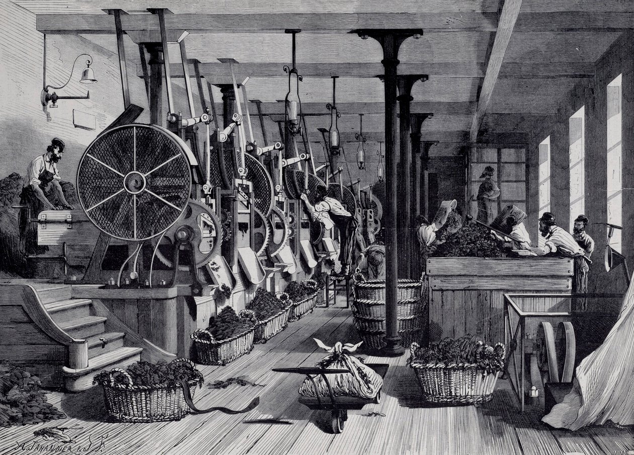 Tobaksfabrik, vaskerum og tobaksrapage. Stik omkring 1867. Paris, Musee Carnavalet af Unknown artist