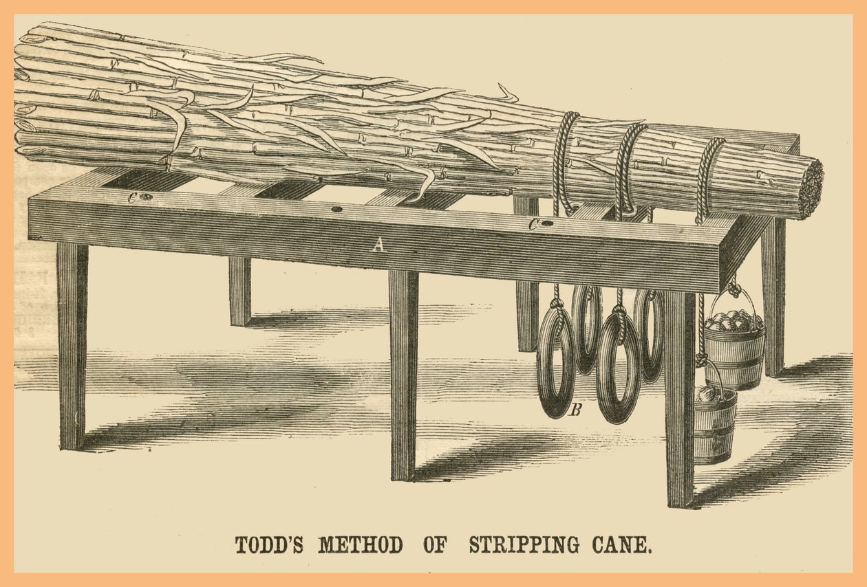 Todds metode til at strippe stokke af Unknown Artist