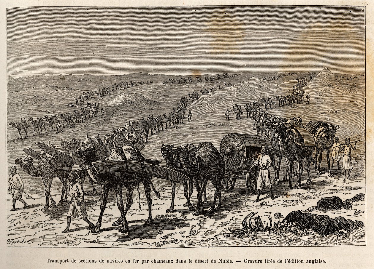 Transport af jernskibssektioner med kameler, i Nubiens ørken (Sudan), gravering, der illustrerer en væbnet ekspedition i Centralafrika, for at undertrykke den sorte handel af Unknown artist
