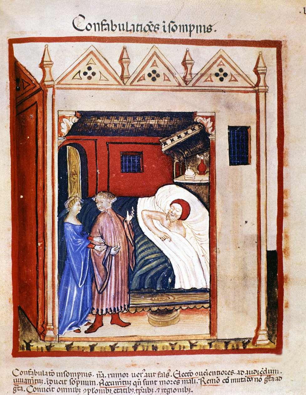 Afhandling om medicin "" Tacuinum sanitatis"" 1300-tallet: folk taler under deres søvn. 14. århundrede. B.N., Wien. af Unknown artist