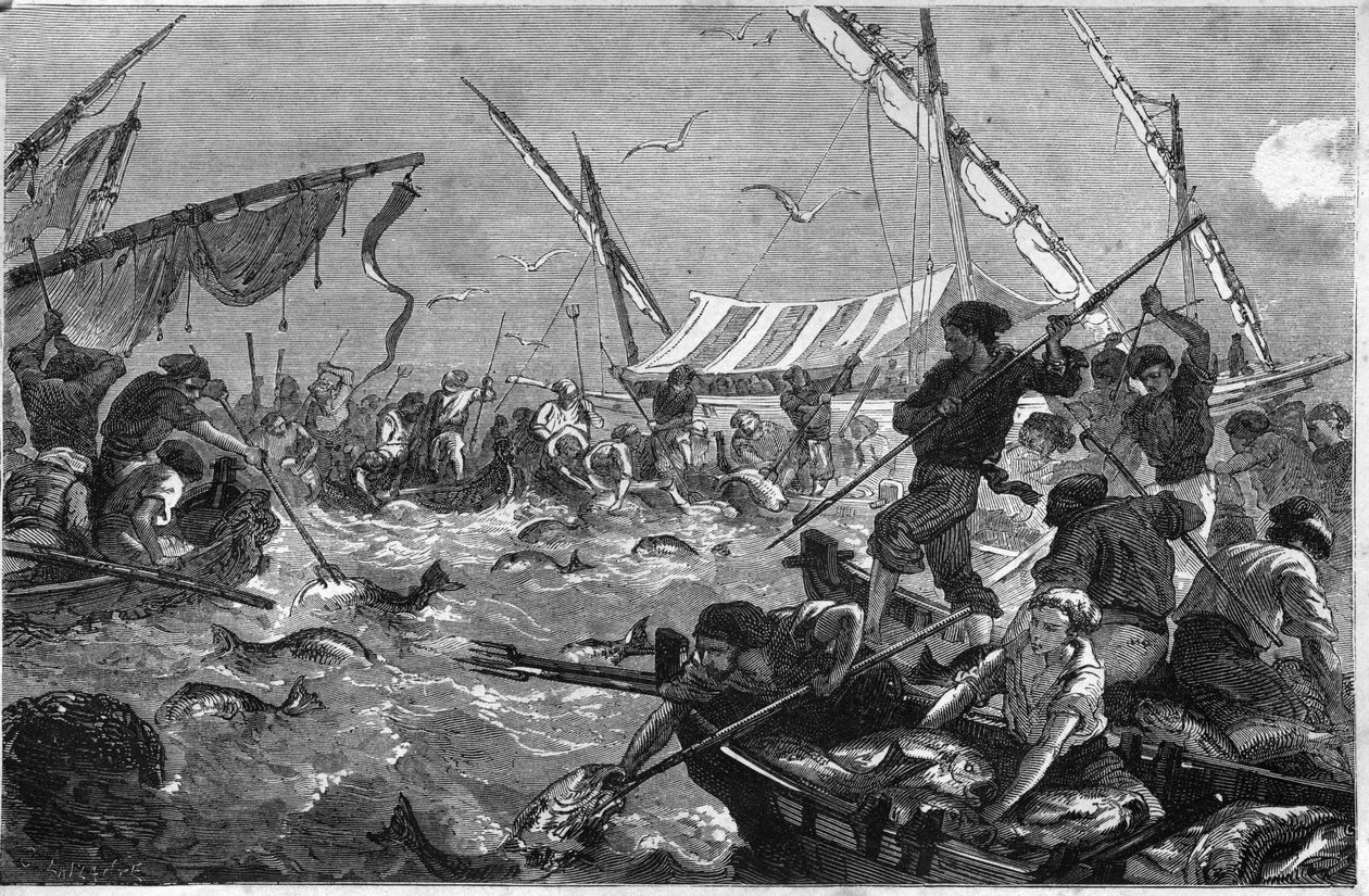 Tunfiskeri (Pesca al tonno) på kysten af Provence. af Unknown artist