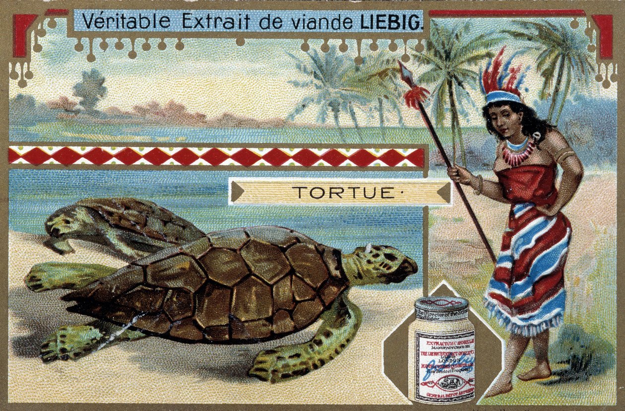 Skildpadde, med en kvinde klædt som en indfødt i Sydamerika, udstyret med et jagtspyd - Liebig-kromolitografi af Unknown artist