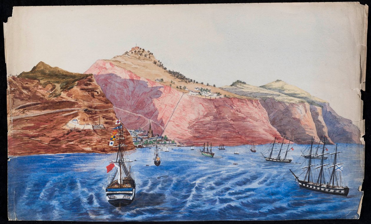 Udsigt over Jamestown, St. Helena, ca. 1850 (wc på papir) af Unknown