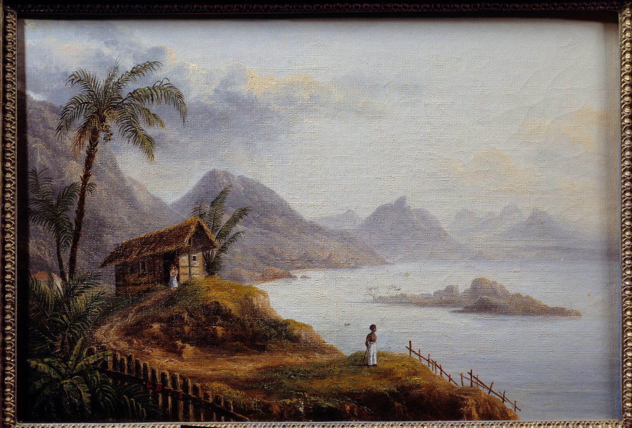 Udsigt over Martinique. Anonymt maleri af Unknown artist