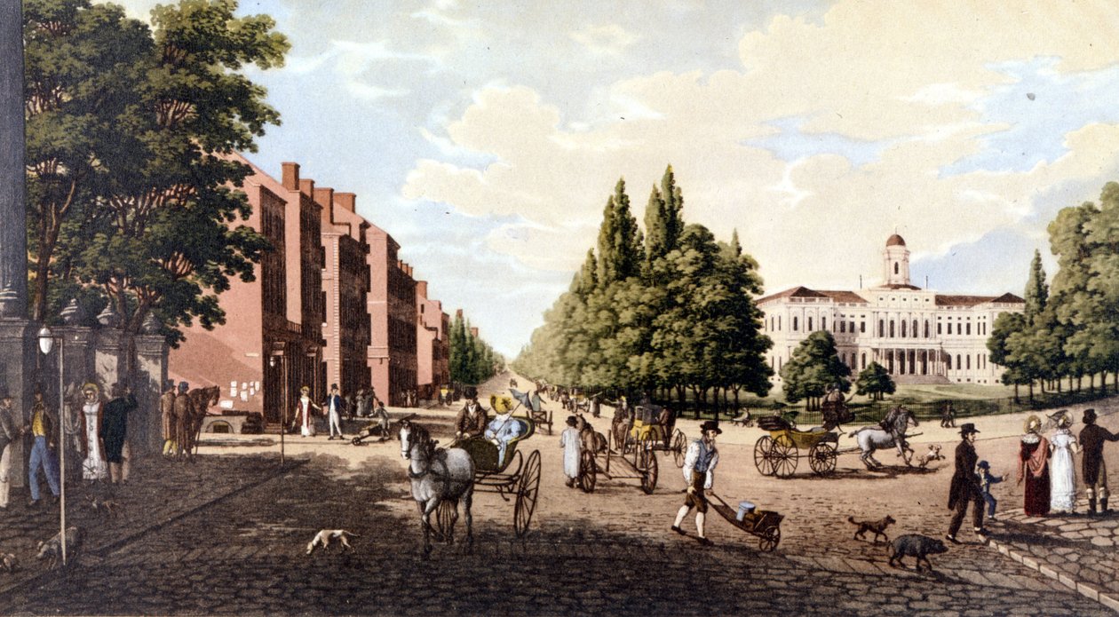 Udsigt over New York: Broadway og Rådhus. SD litografi omkring midten af 1800-tallet. af Unknown artist
