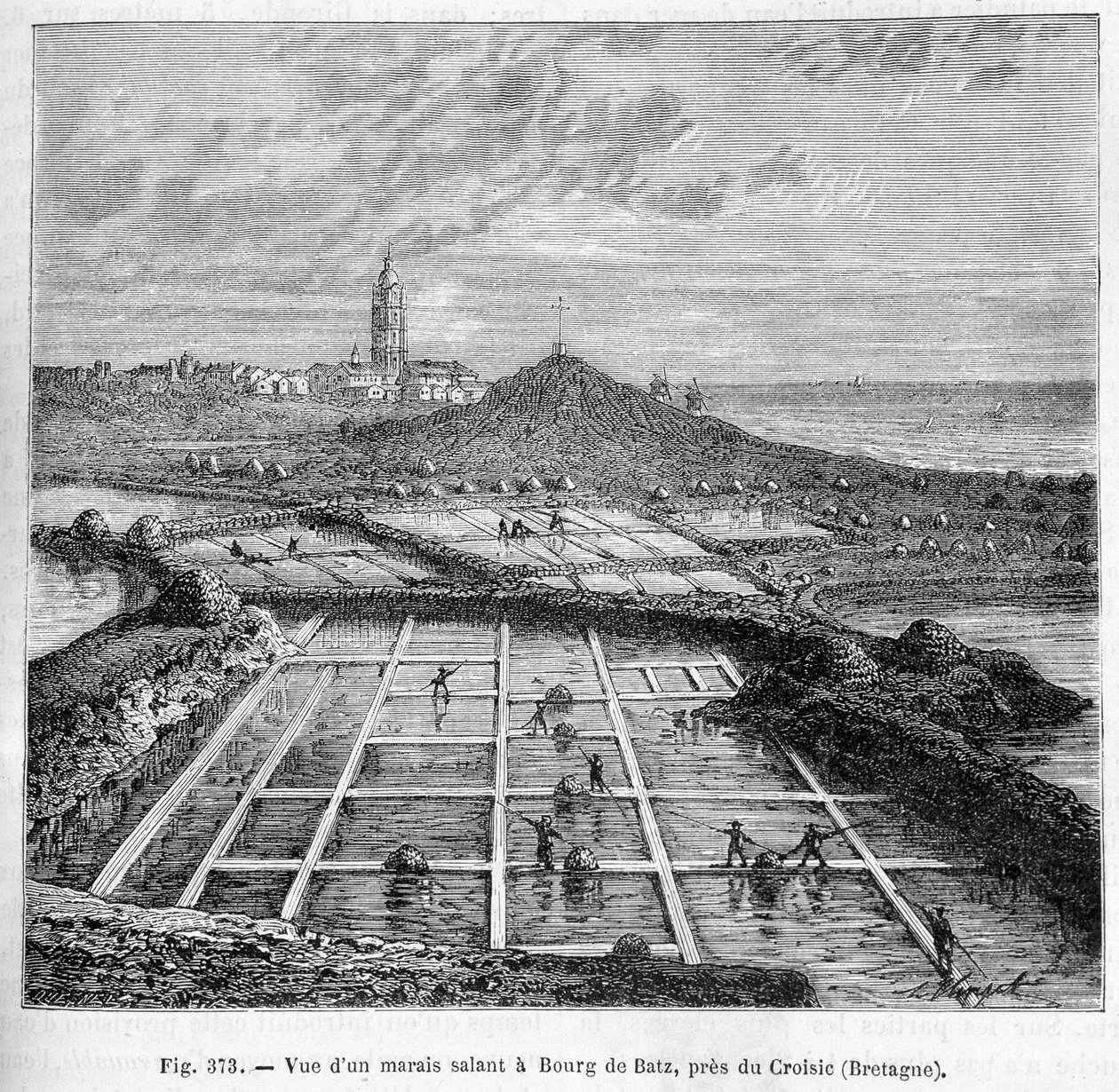 Udsigt over en strandeng i Bourg de Batz, nær Croisic (Bretagne) - i "" Industriens vidundere"" af Louis Figuier af Unknown artist