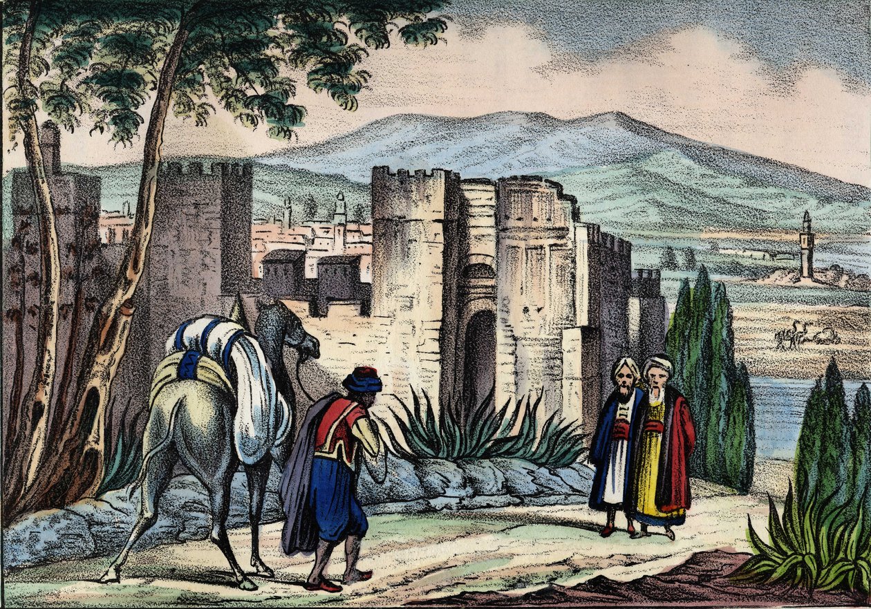 Udsigt over byen Tlemsen i Algeriet. I "" The Story of Algeria"", af Leone Galibert, vol. 2 af Unknown artist