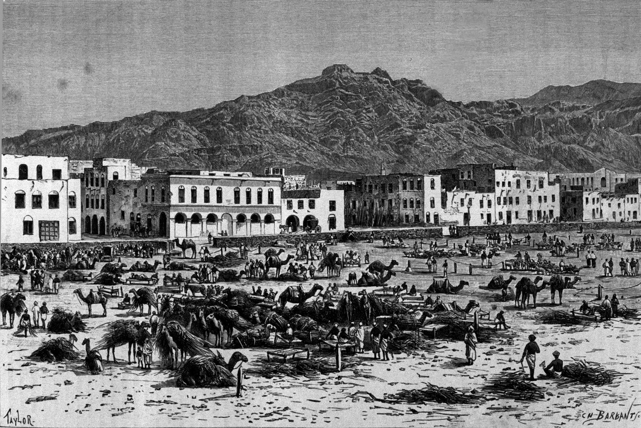 Udsigt over Adens march i Abessinien. Indgravering omkring 1880 af Unknown artist