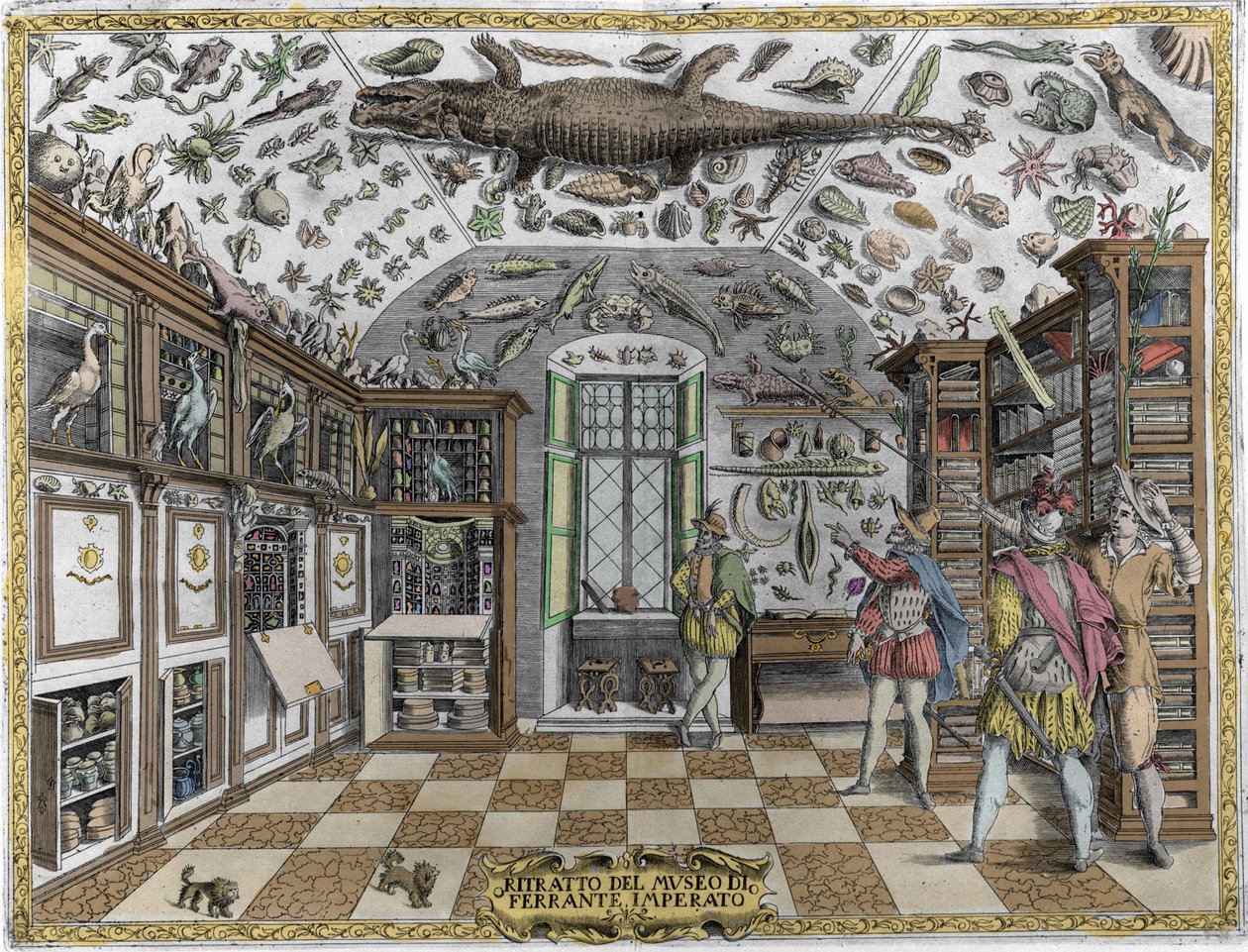 Udsigt over museet (kabinet) af kuriositeter (encyklopædisk museum) af farmaceuten Ferrante Imperato (1550 - 1631). Gravering fra 1678. Museum for den napolitanske apoteker Ferrante Imperato. af Unknown artist