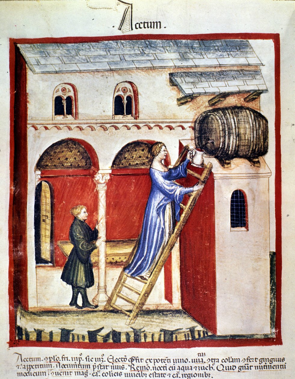 Eddike produktion. Belysning fra malkning af medicin og diætetik "" Tacuinum sanitatis"" af Unknown artist