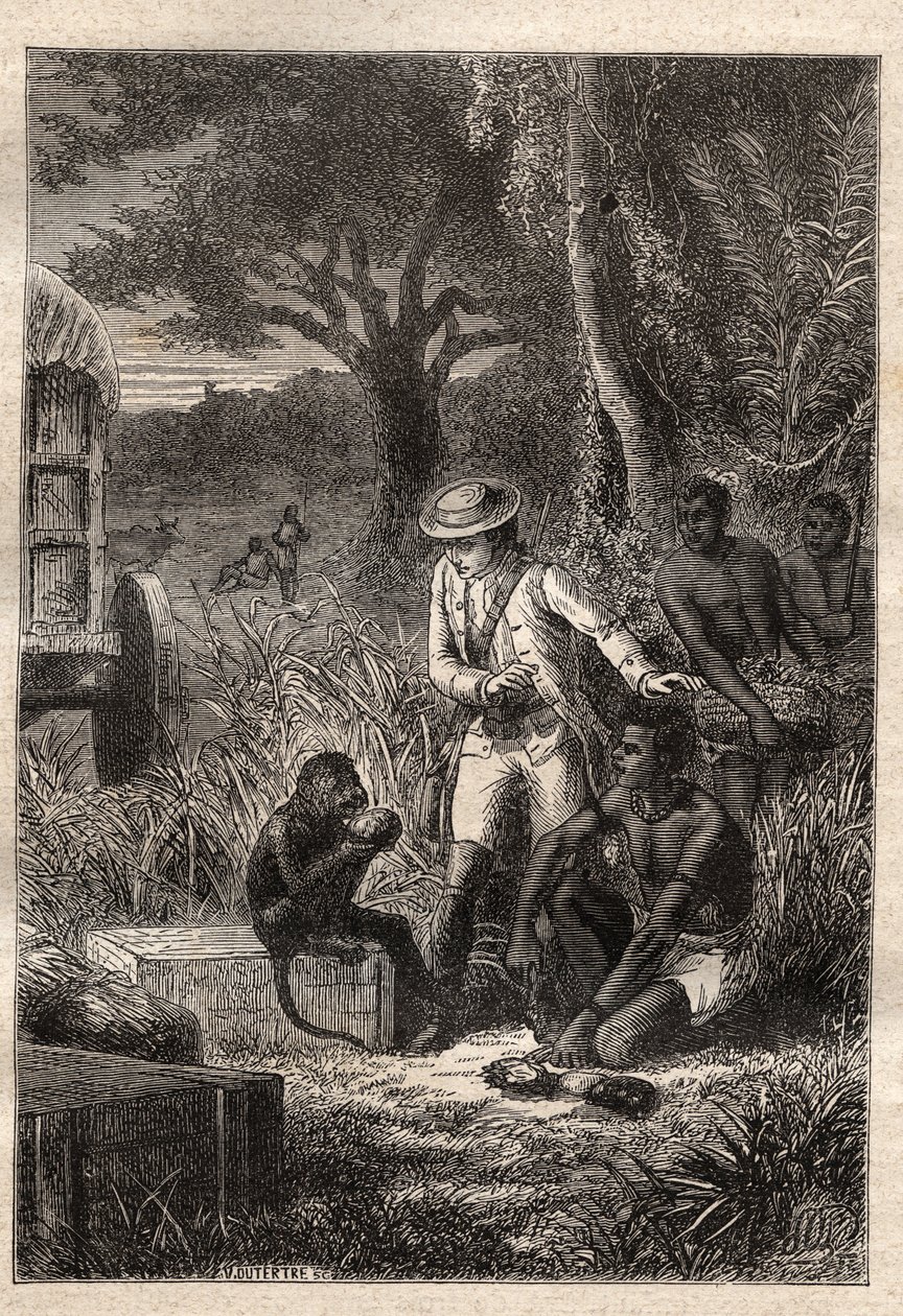Voyage dans la Caffrerie (Sydafrika) (1781) af Francois Levaillant (Le Vaillant) (1753-1824): Levaillant og hans abe degustateur Maitre Kees, der smager på frugterne og rødderne for at verificere, at de er spiselige - illustration hentet fra "" Les Gra af Unknown artist