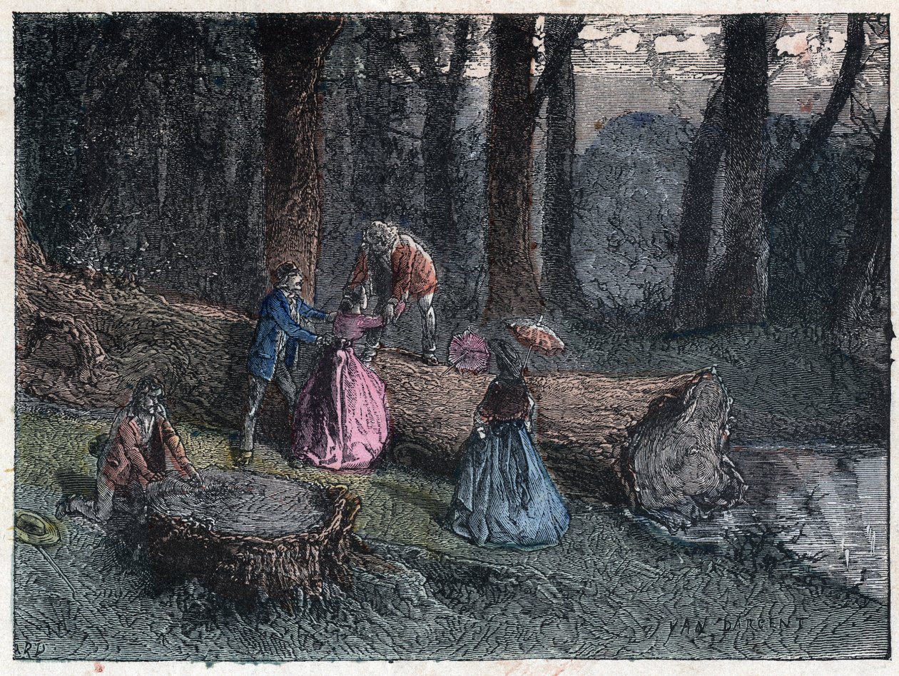 Vandrere forsøger at beregne alderen på en død eg ved at studere træets stamme. Gravering sidst i 1800-tallet. af Unknown artist