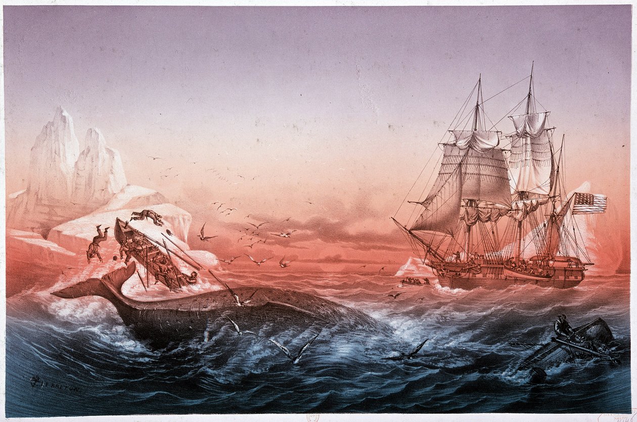Hvalfangstfartøjet formåede ikke at redde sine hvalkæntrede både af Unknown artist