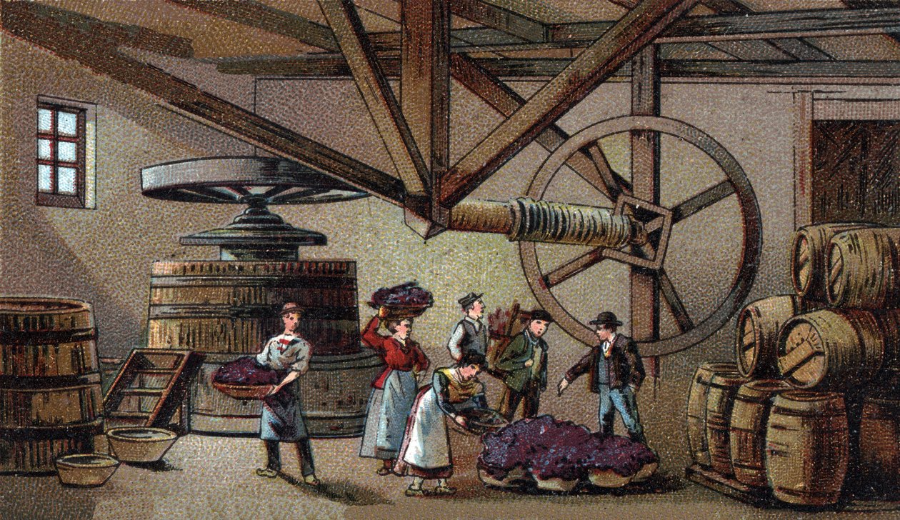 Vinproduktion: vinpresse fra hospice i Beaune (clos vougeot). Kromolitografi i slutningen af det 19. århundrede af Unknown artist
