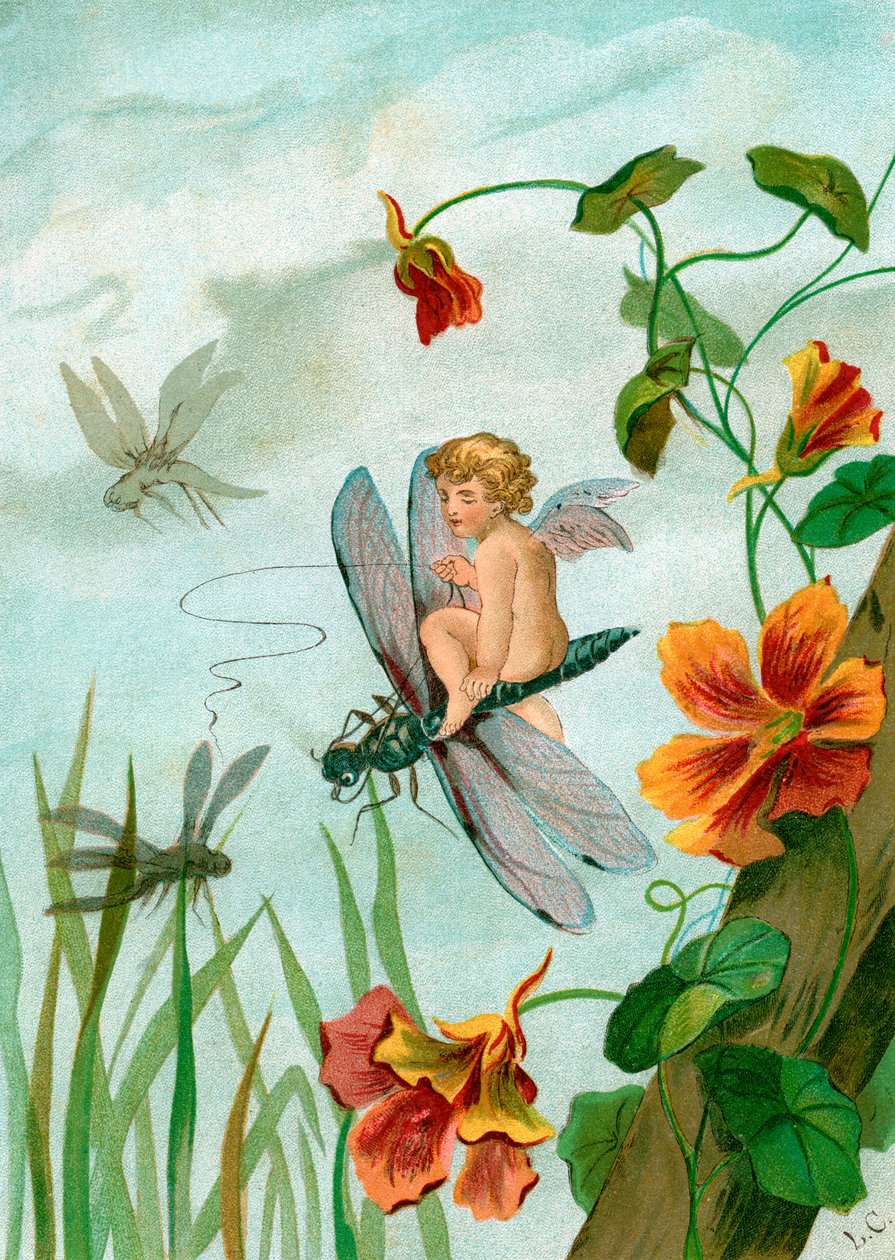 Winged Fairy Rider på en guldsmede nær Nasturtium Flowers af Unknown artist