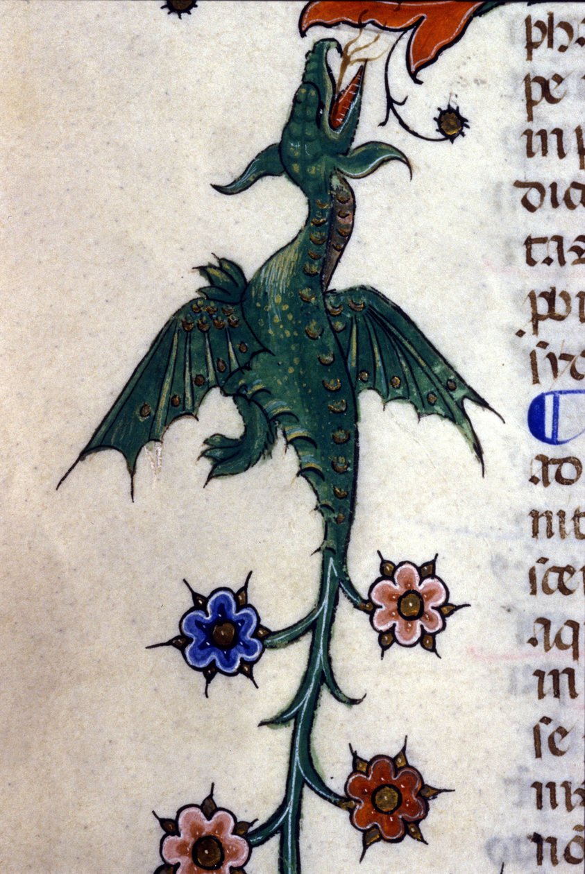 Bevinget drage, Caspic, på et manuskript fra det 14. århundrede Milan, Biblioteca Nazionale Braidense. af Unknown artist