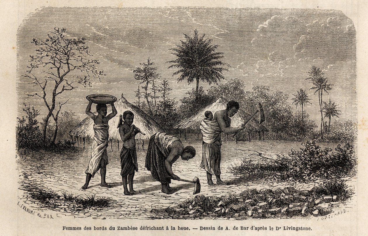 Kvinder fra bredden af Zambeze, der befrier en hakke og introducerer børn til landbrugsarbejde. Indgravering til illustration af Dr. Livingstones første rejser til det sydlige Afrika fra 1840 til 1856, i "Le tour du monde, nouveau journal des voyages"" udg af Unknown artist