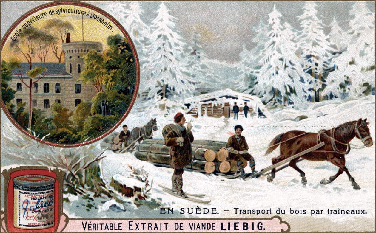 Trætransport med slæder, Sverige. Kromolitografi, Liebig-billede. af Unknown artist