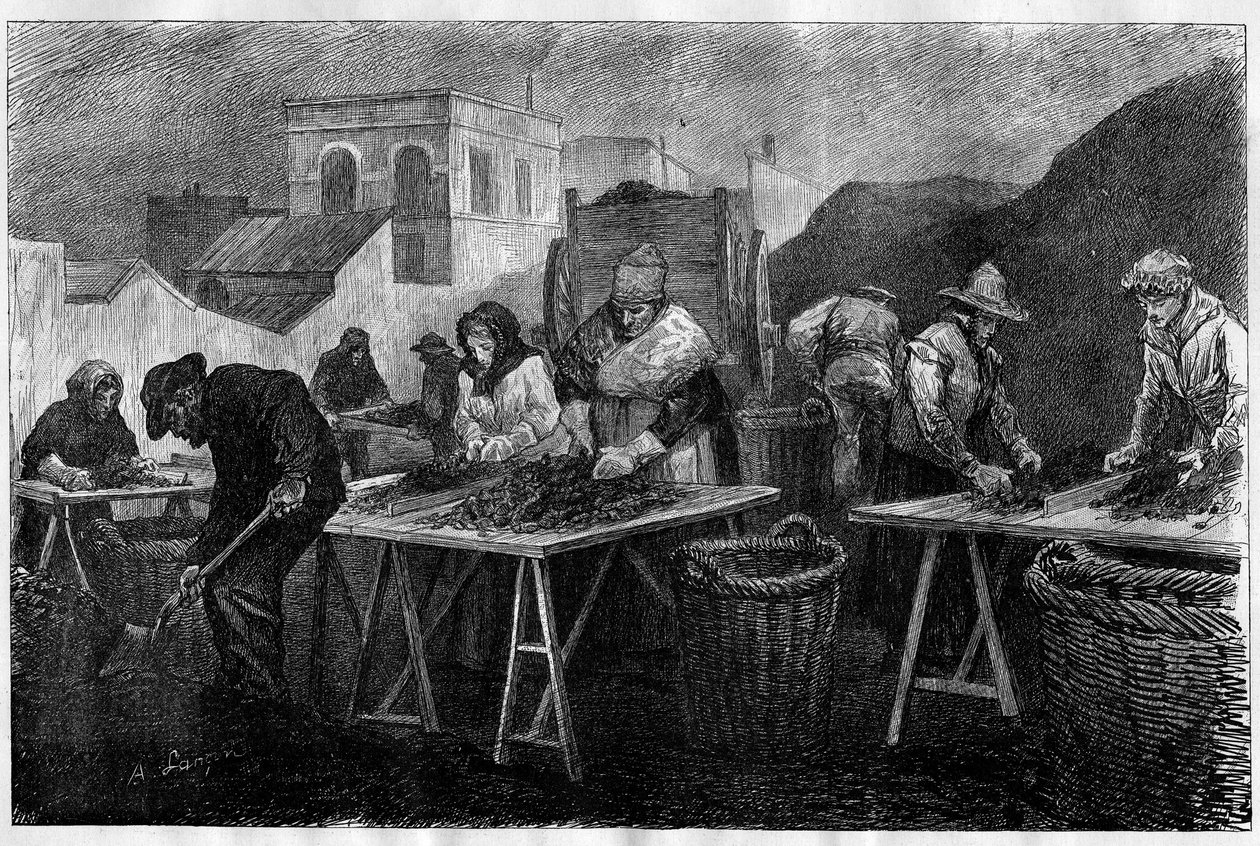 Arbejdere i Frankrig: Kokssorterere (varietet af kul fra destillation af kul, brugt til opvarmning) i en gasfabrik i Paris Indgravering i "Le Monde Illustré"" af Unknown artist