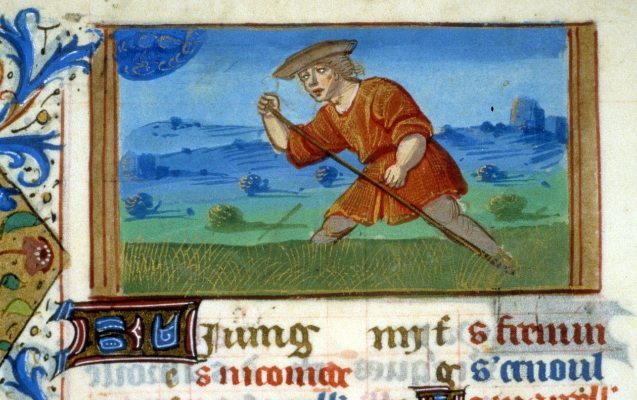 Stjernetegnskræft og græsslåning - Miniature af middelalderen (ref. 137, 048v): Anmodning om tilladelse fra Toulouse Kommunebibliotek (tlf.: 05 62 27 66 66) af Unknown artist
