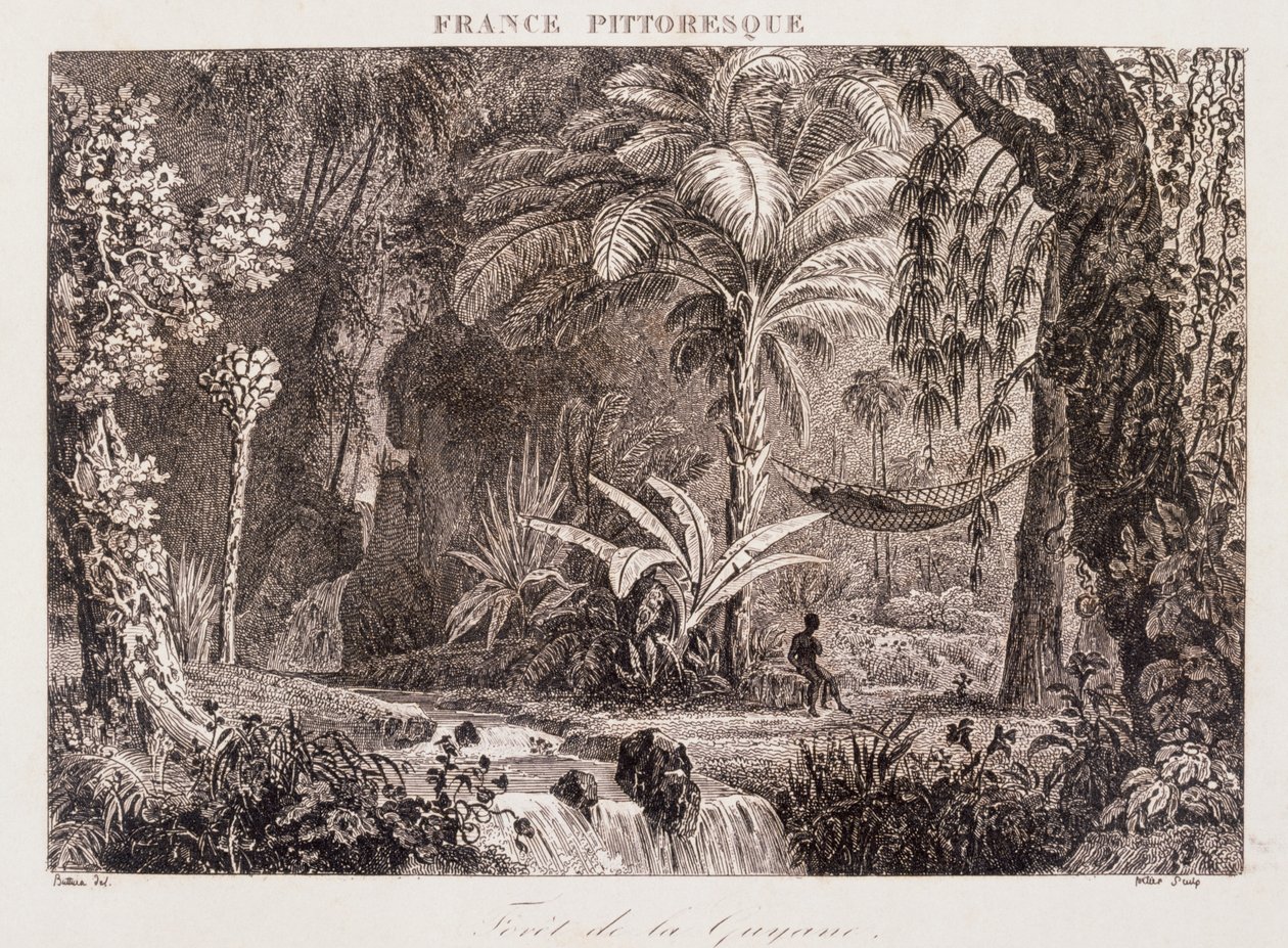 Stik, der viser den franske koloni Guyana i Sydamerika 1850 af Unknown artist