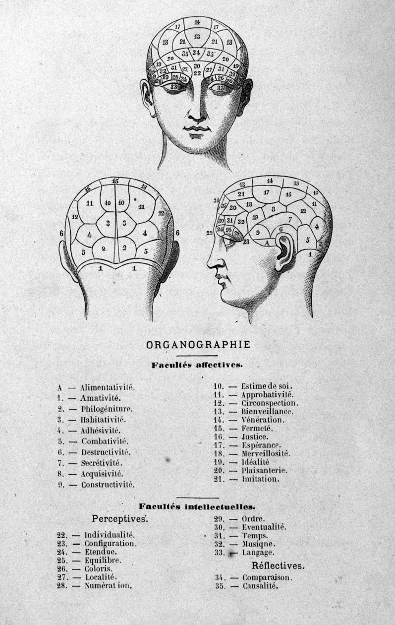 illustration fra Charles Rouvins bog fra 1873 Organographie La Tête humaine, illustrerede undersøgelser af frenologi og fysionomi anvendt på berømte karakterer Paris 1873 af Unknown artist