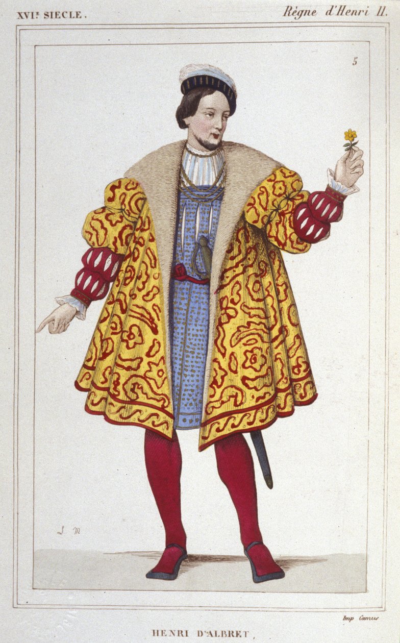 portræt af Henri d