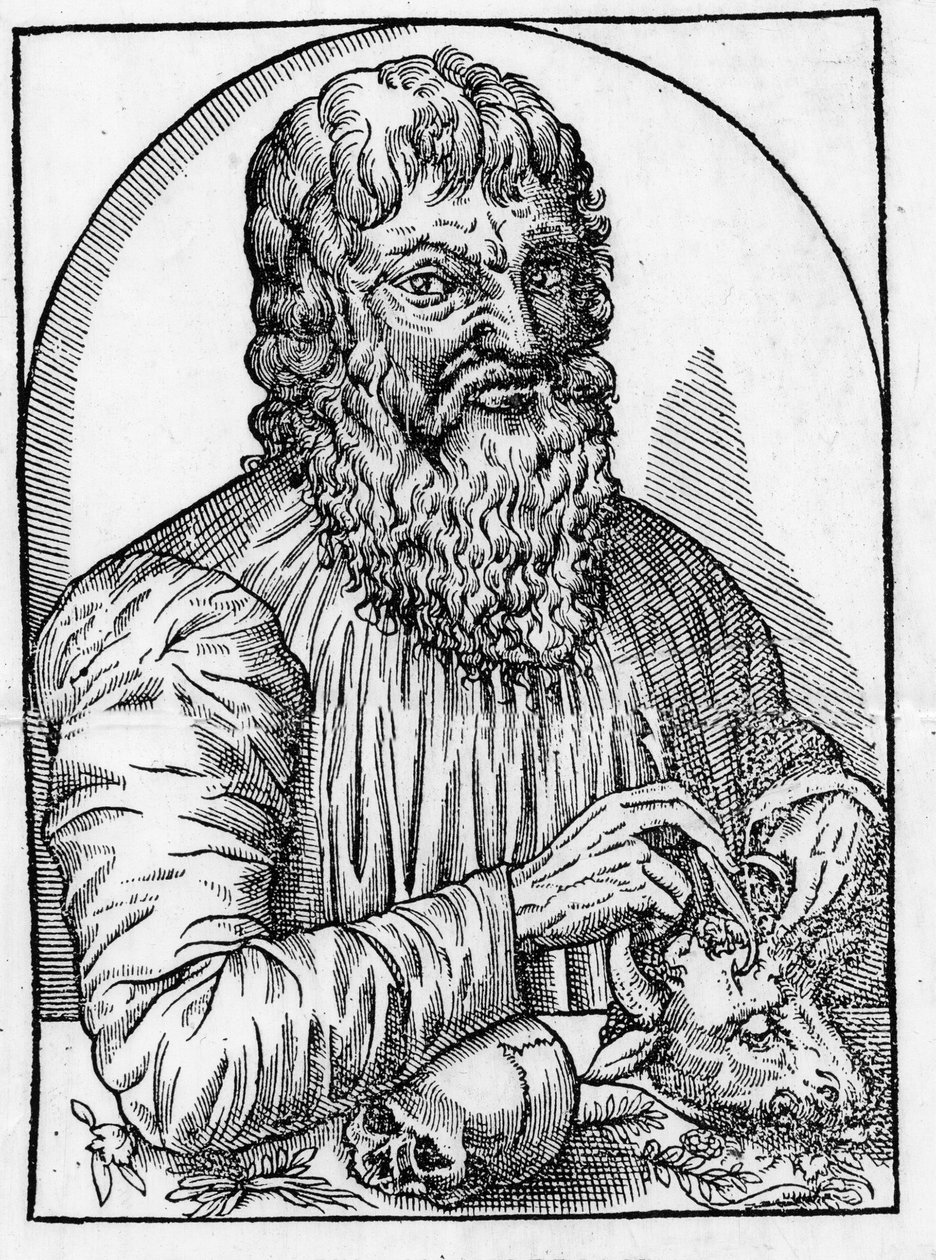 portræt af Hippokrates (460- omkring 377 f.Kr.), græsk læge. af Unknown artist