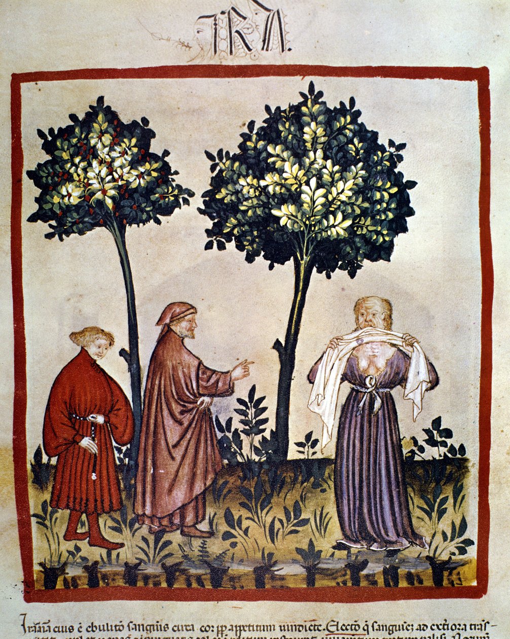 rabies eller vred person, der klemmer væv mellem tænderne. Belysning af det 14. århundrede af "Tacuinum Sanitatis", Wien, Nationalbiblioteket. af Unknown artist