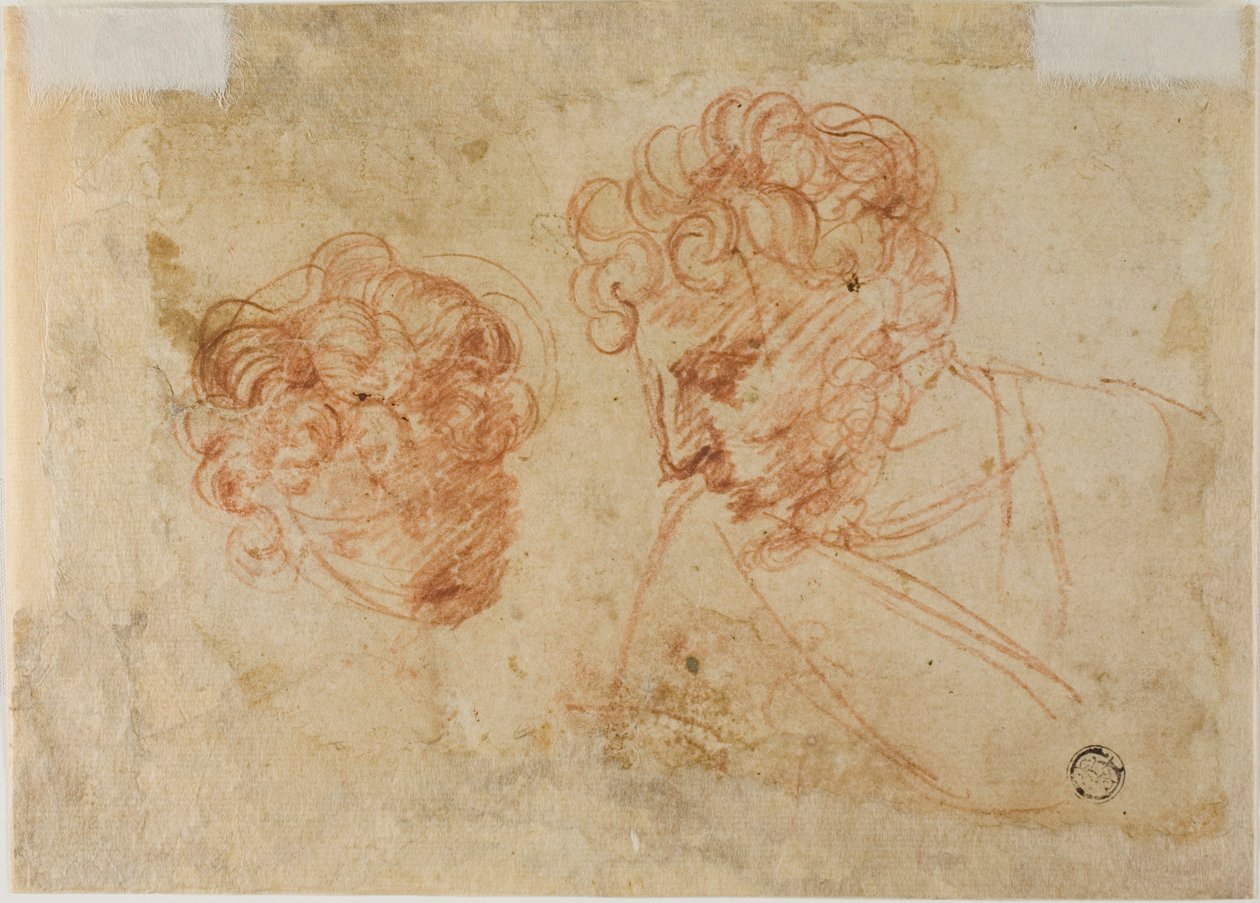 To skitser af hoveder (recto); to skitser af draperet kvinde (verso) af Unknown Florentine
