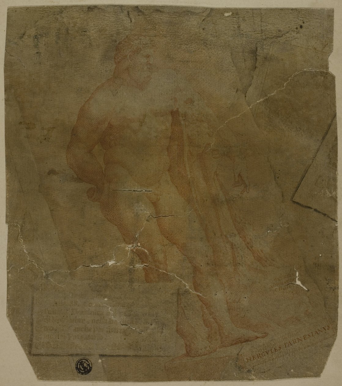 Herkules af Unknown Italian