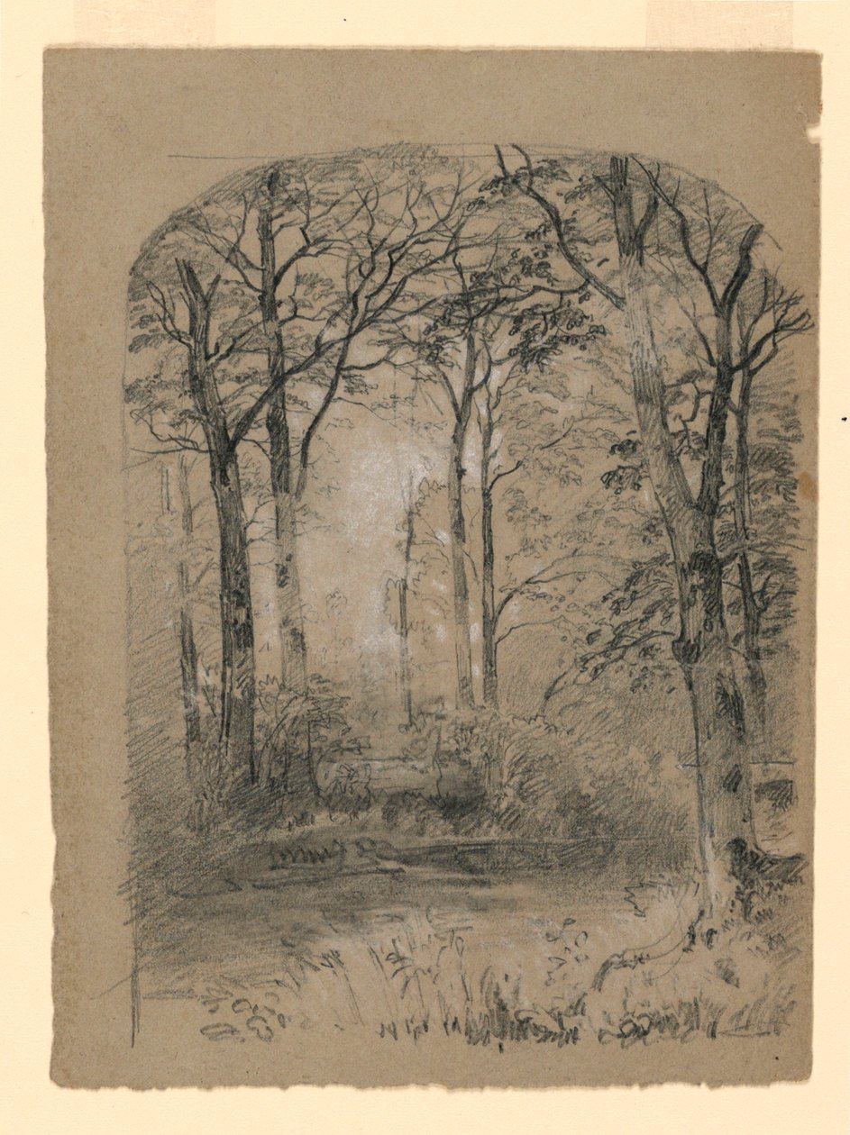 Tegning, studie af skovområde, 1865-70 af Unknown artistUnknown artist