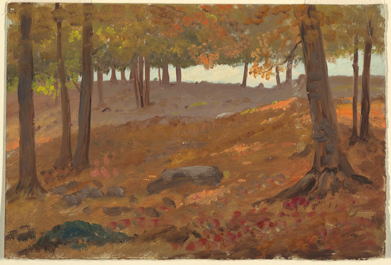 Tegning, Skov om efteråret, 1870-80 af Unknown artistUnknown artist