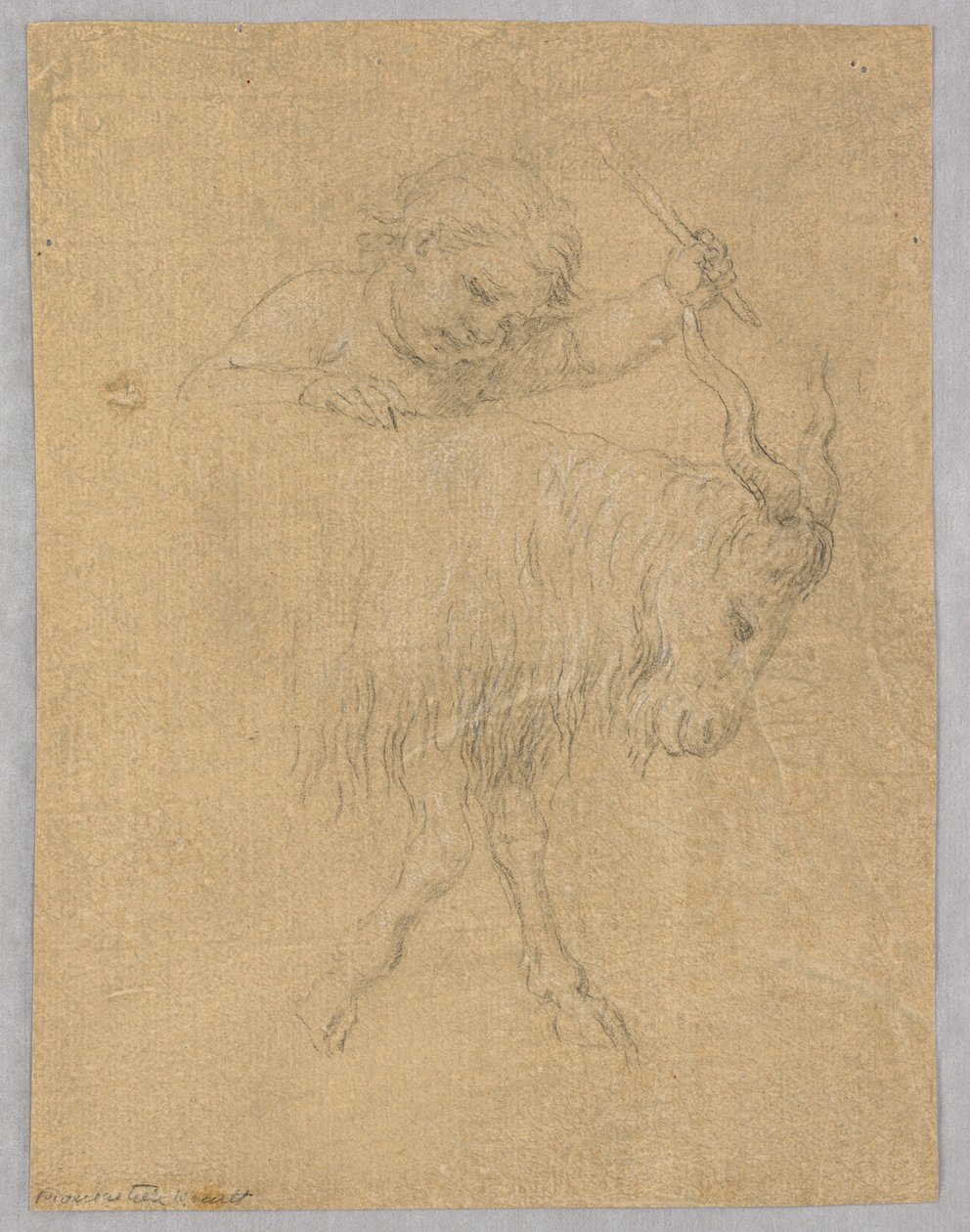 En dreng, der kører en ged af Unknown artist