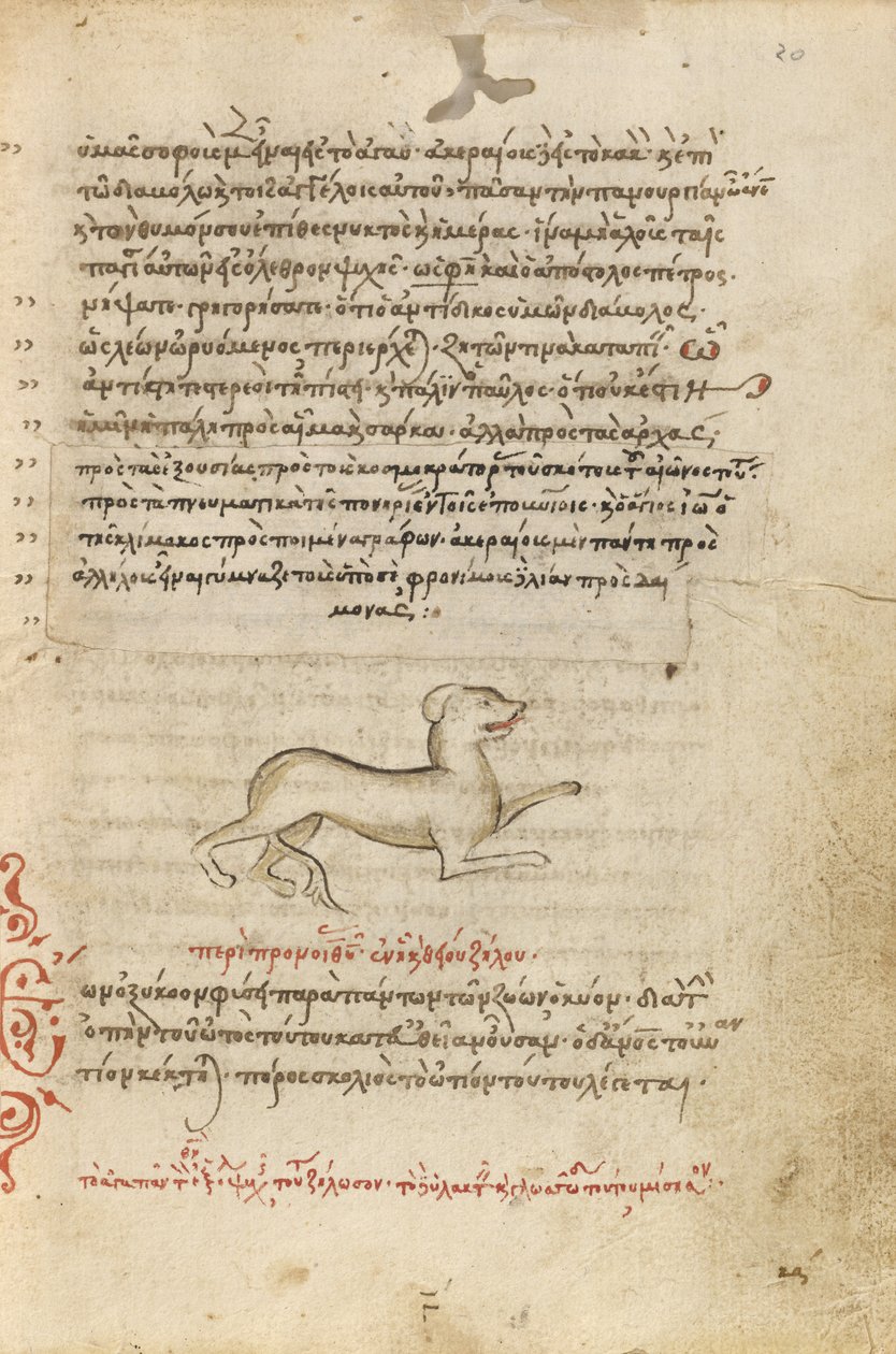 En hund af Unknown artist
