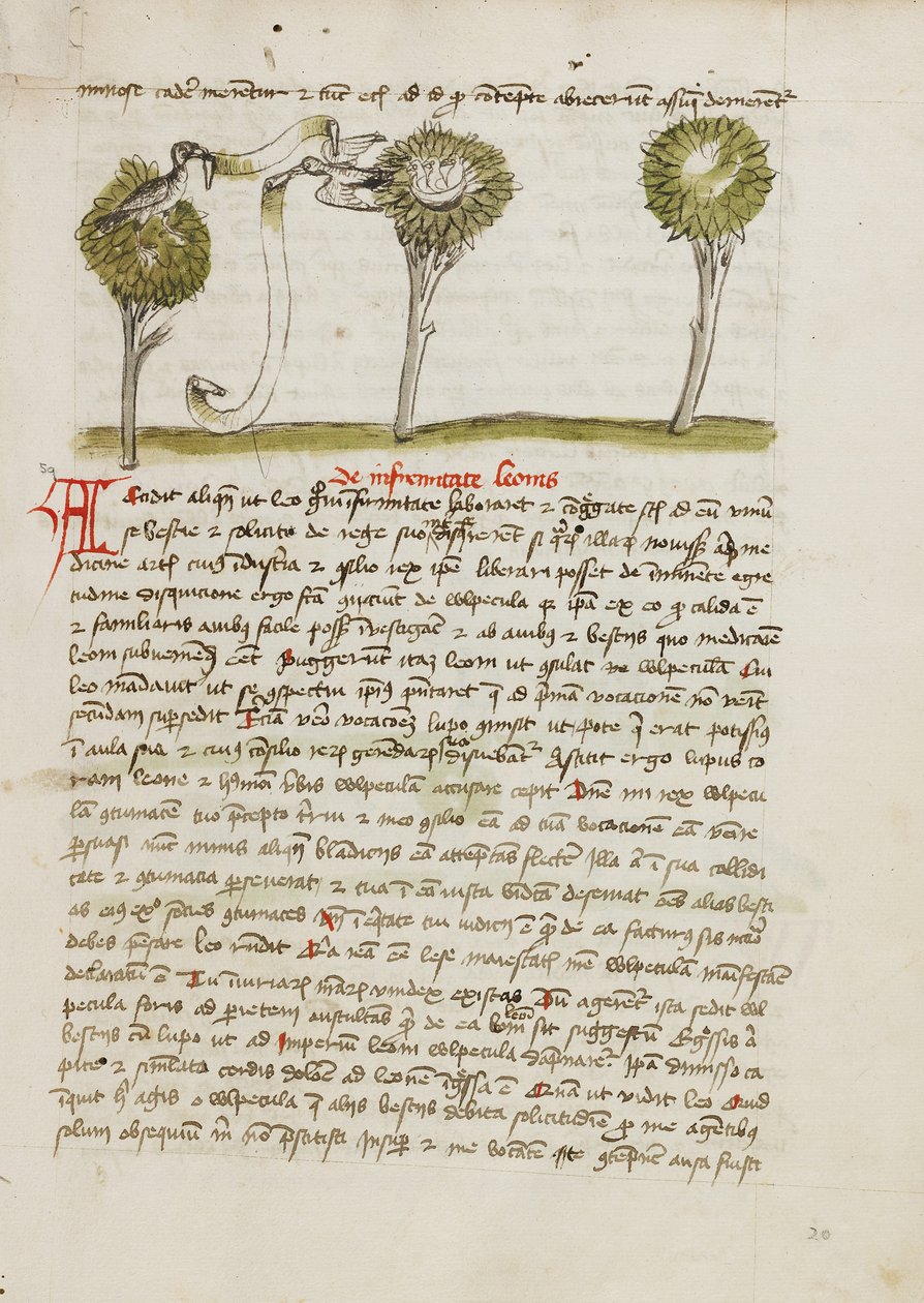 En hvepsevåge i et træ og en nattergal, der flyver væk fra sin rede af Unknown artist