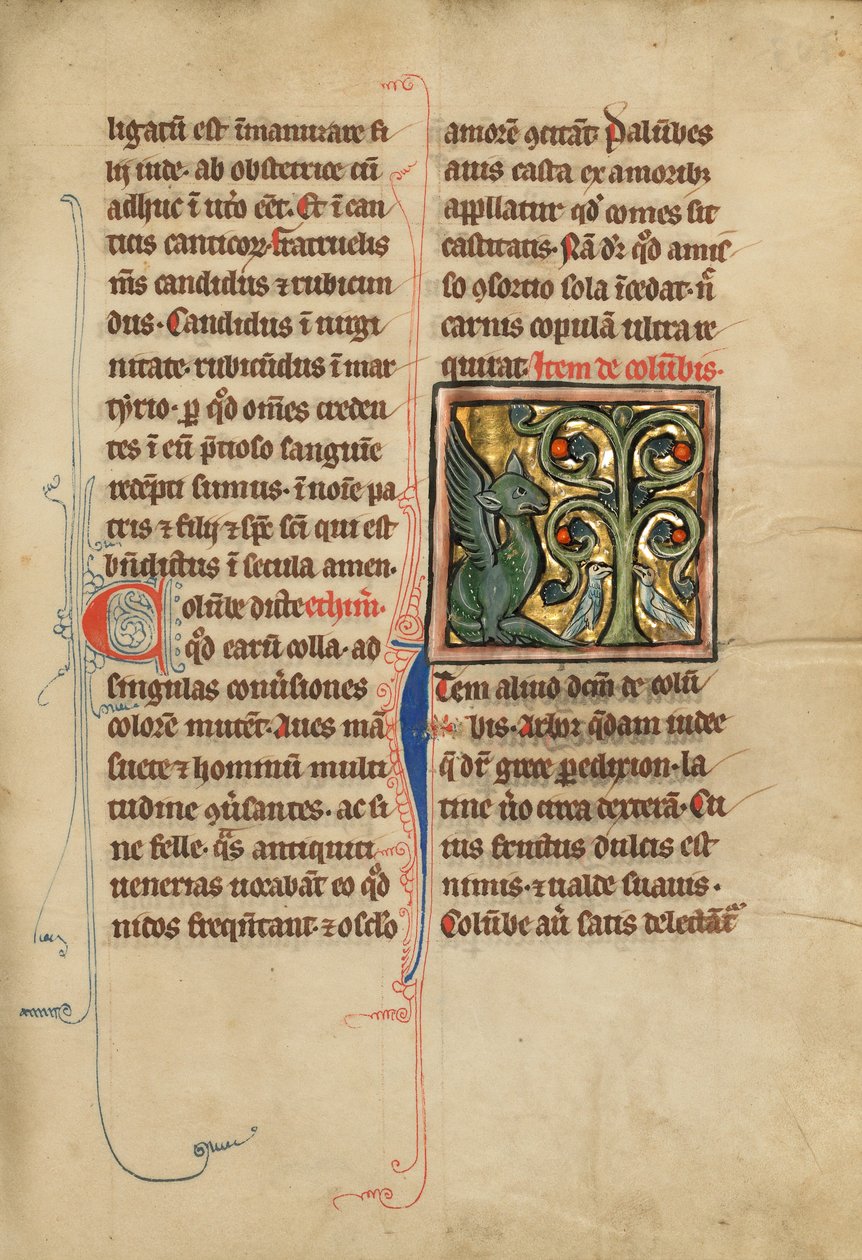 Et Peridexion-træ af Unknown artist