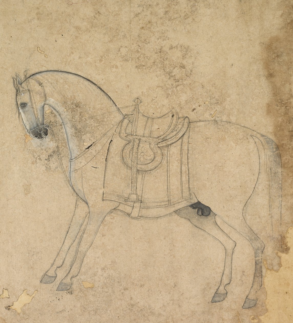 En opsadlet hest af Unknown artist