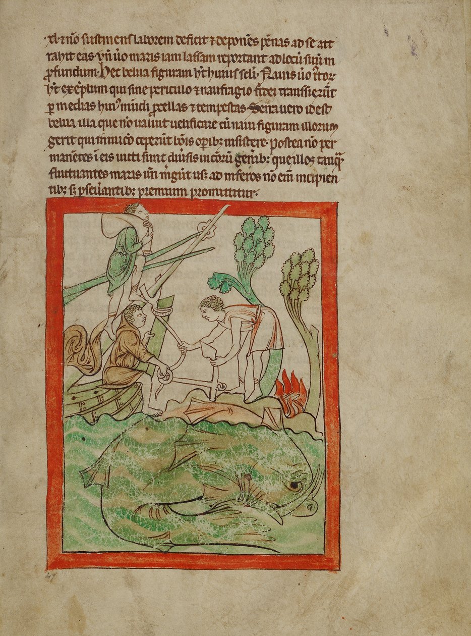 Et havdyr af Unknown artist