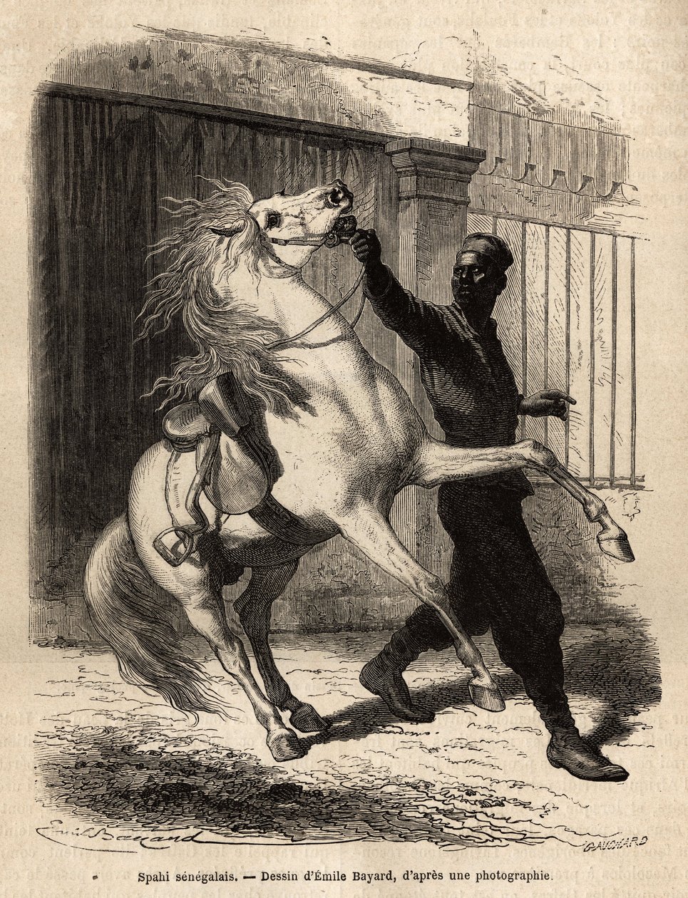 En senegalesisk spahi (cavalier) i Saint-Louis (Saint Louis). Gravering til illustration af et krydstogt på Afrikas kyst, af viceadmiral Fleuriot de Langle, i 1868, udgivet i "" Le tour du monde""" 1872, redigeret af Edouard Charton, udgave Hachette, Paris af Unknown artist