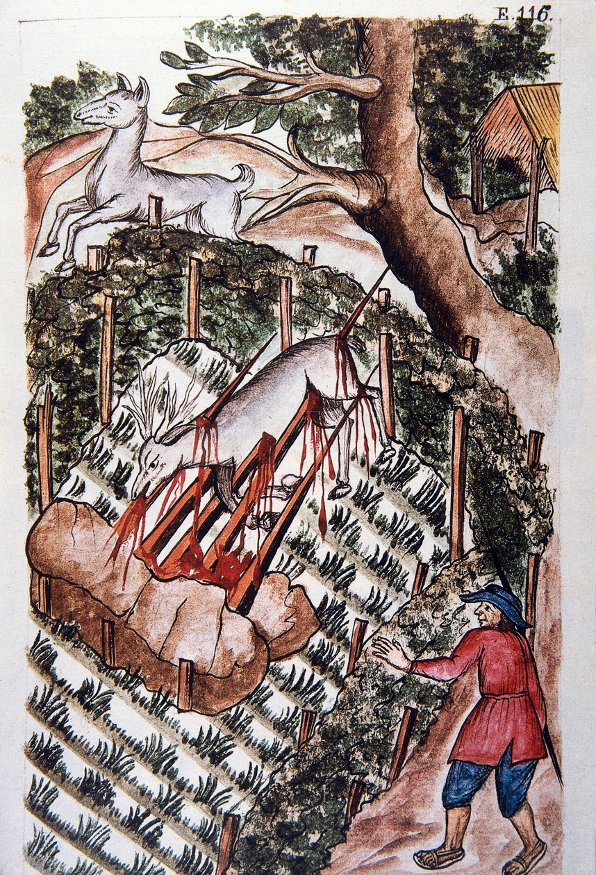 Et rådyr falder i jægernes fælde, fra bogen "Trujillo del Peru" eller "Códice Martínez Compañón", af Baltazar Martinez Compañón y Bujanda, biskop af Trujillo (1782-1785) af Unknown artist