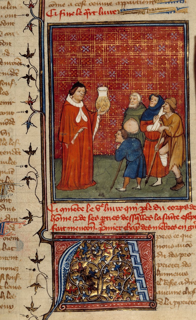 En læge undersøger en krukke med urin foran patienter. Miniature taget fra den engelske Barthelemy af Unknown artist