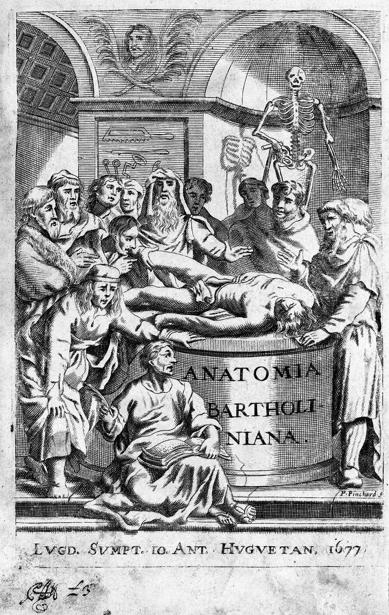 En lecon of anatomy Frontispice tager fra "Anatomia Reformata"" af Thomas Bartholin (1616-80) (Bartholinus) 1677 af Unknown artist