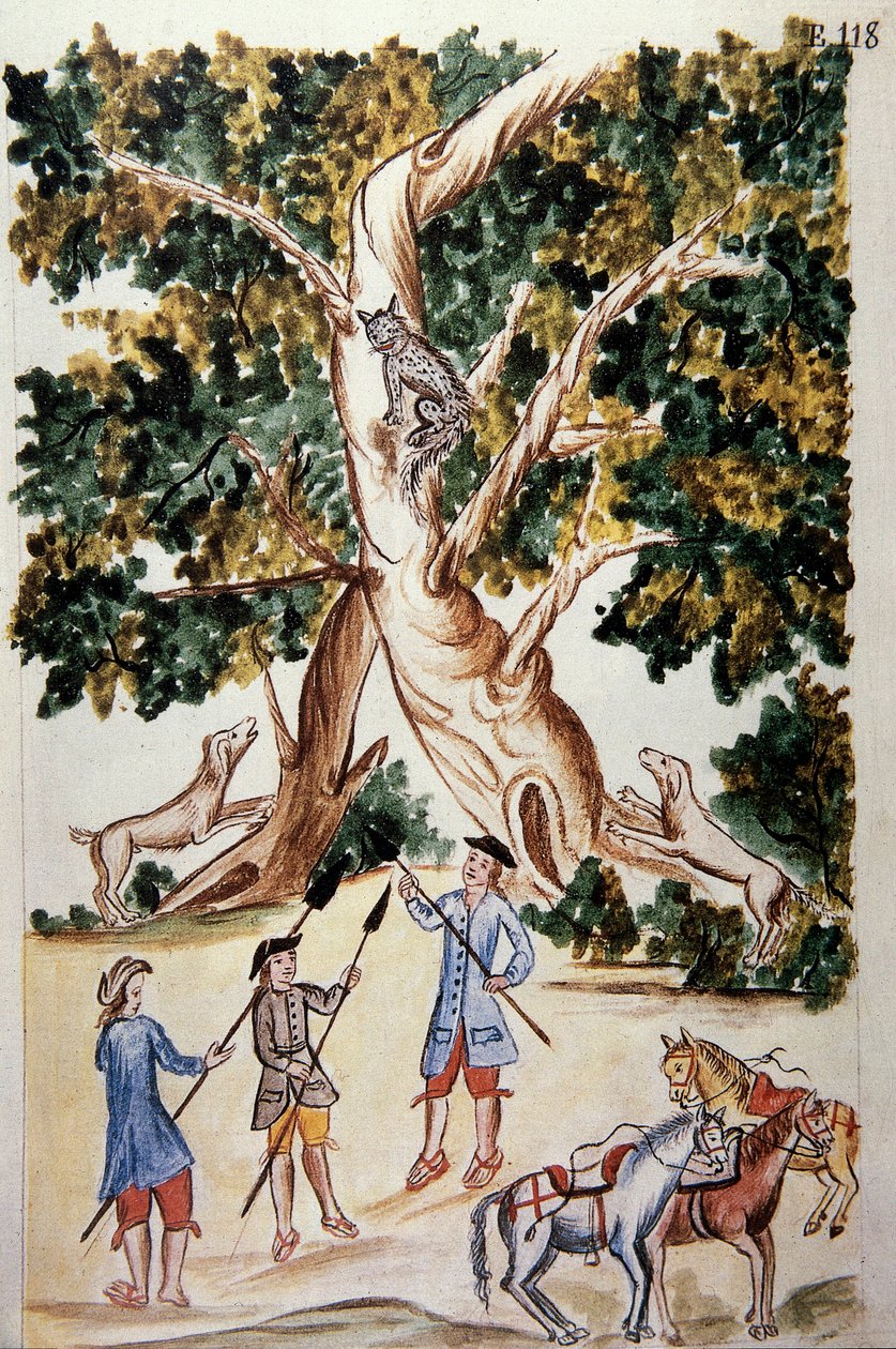En vild kat sætter sig på et træ, jægere venter på det, fra bogen "Trujillo del Peru" eller "Codex Martinez Companion", af Baltazar Martinez Companion og Bujanda, biskop af Trujillo (1782-1785) af Unknown artist