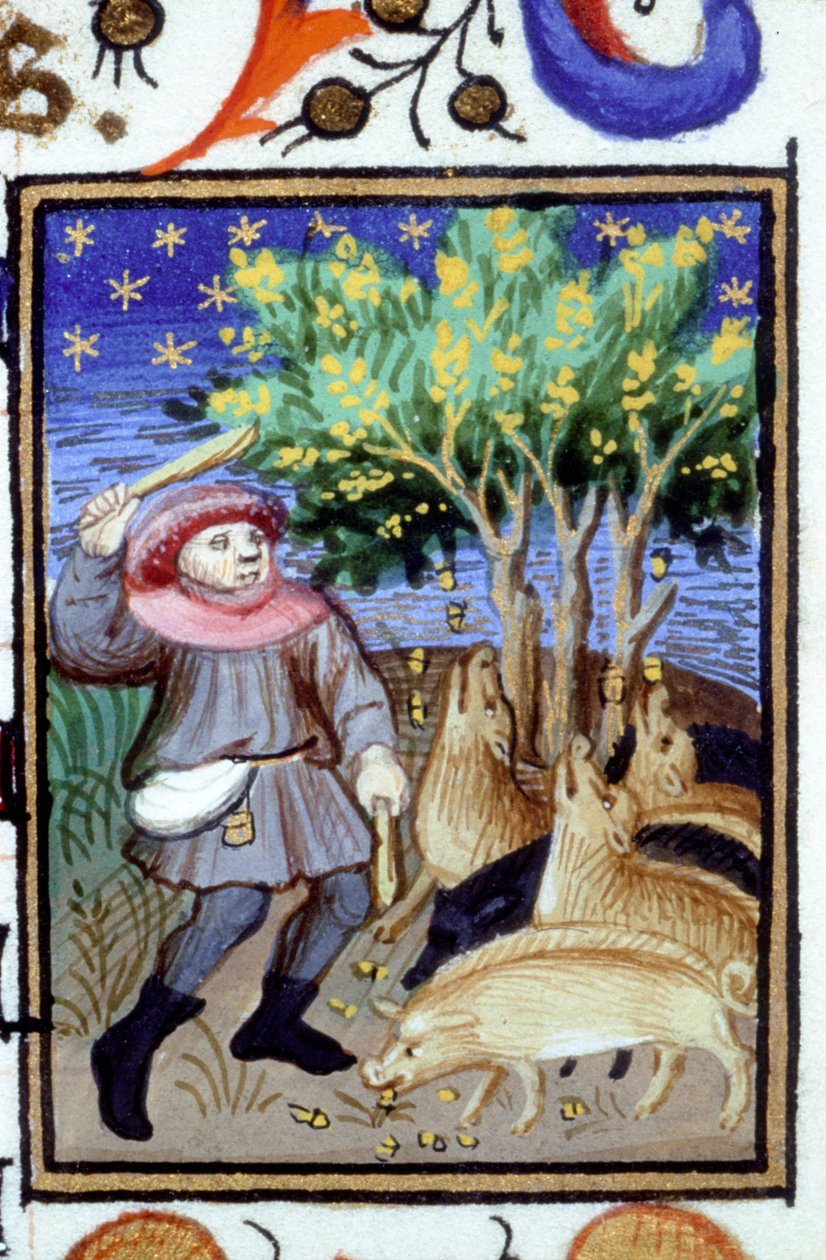 Allegorisk fremstilling af november. En mand med en gruppe grise, der spiser agern. Miniature af et manuskript fra det 14. århundrede. af Unknown artist