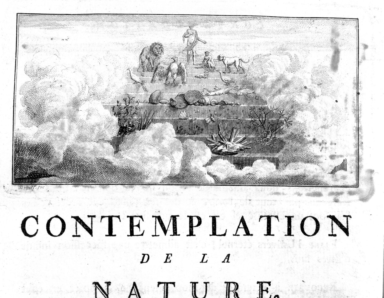 Allegorisk repræsentation af udviklingen af mennesket af mineraler, der passerer gennem plante- og dyrearter Charles Bonnet, Naturkontemplation, Neuchatel af Unknown artist