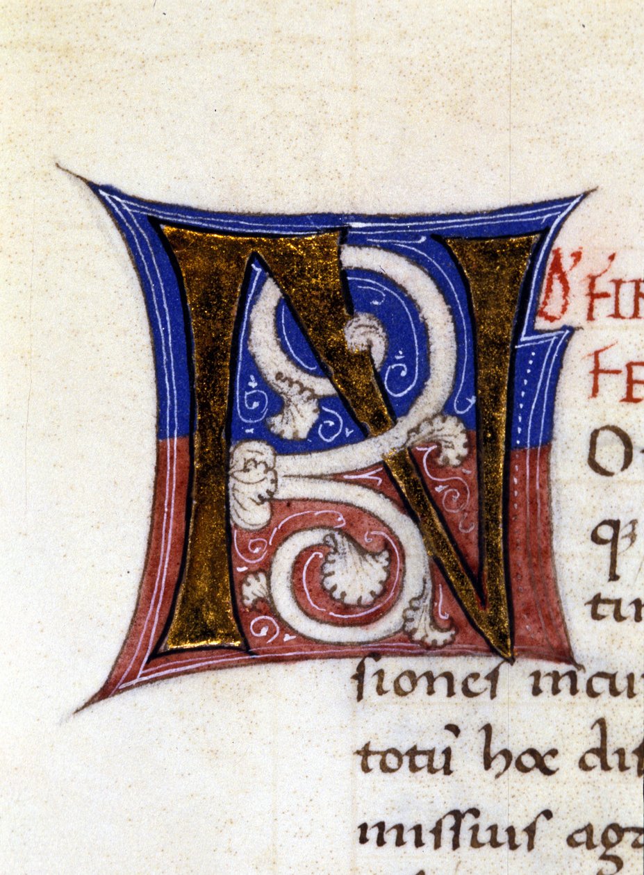 Alfabet: miniaturet bogstav N af Unknown artist