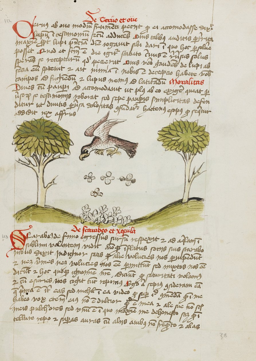 En ørn flyver over en sværm af insekter af Unknown artist