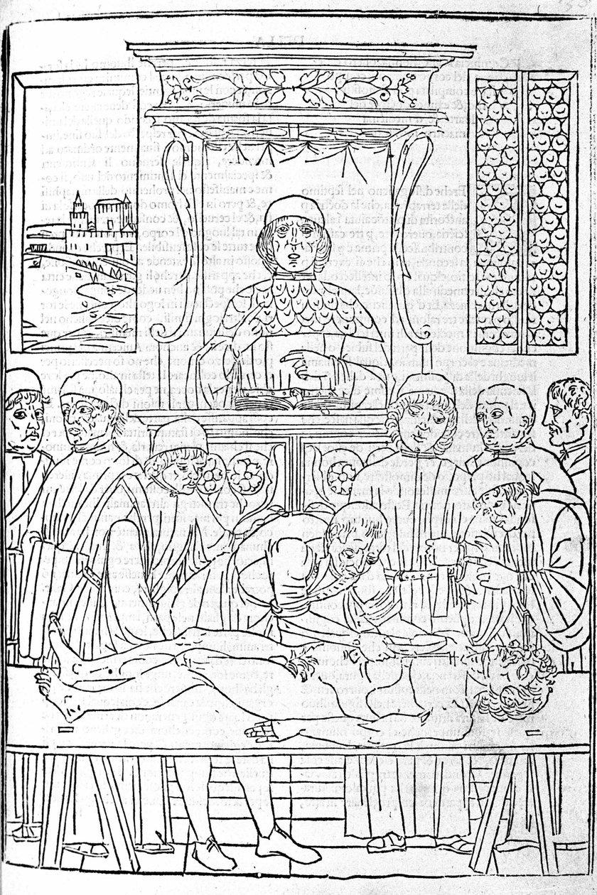 Anatomisk dissektion. Gravering fra en afhandling om medicin af Gerolamo Cardano (Cardanus Hieronymus), Firenze af Unknown artist