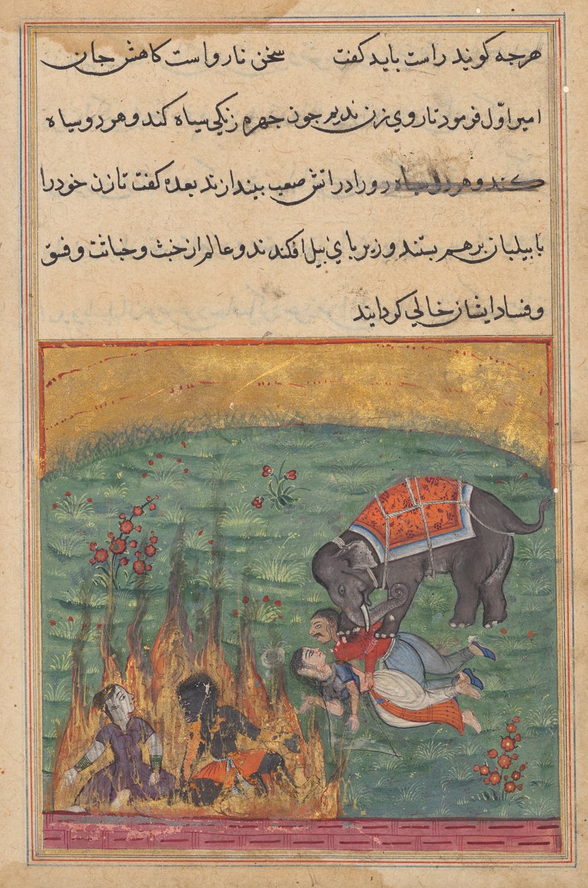 Som straf bliver gøglerens kone og Zangi kastet i ild, og emirens kone og mahouten bliver trampet ned af en elefant, fra en Tuti-nama (Tales of a Papegøje), 22. Nat af Unknown artist